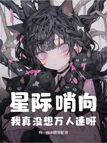 星际文哨兵向导