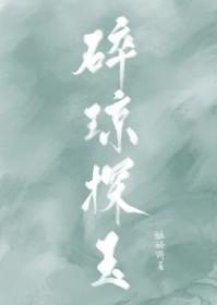 碎琼探玉TXT