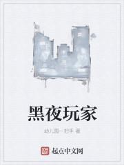 黑夜玩家讲了什么