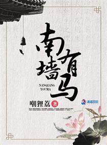 南墙有什么寓意么