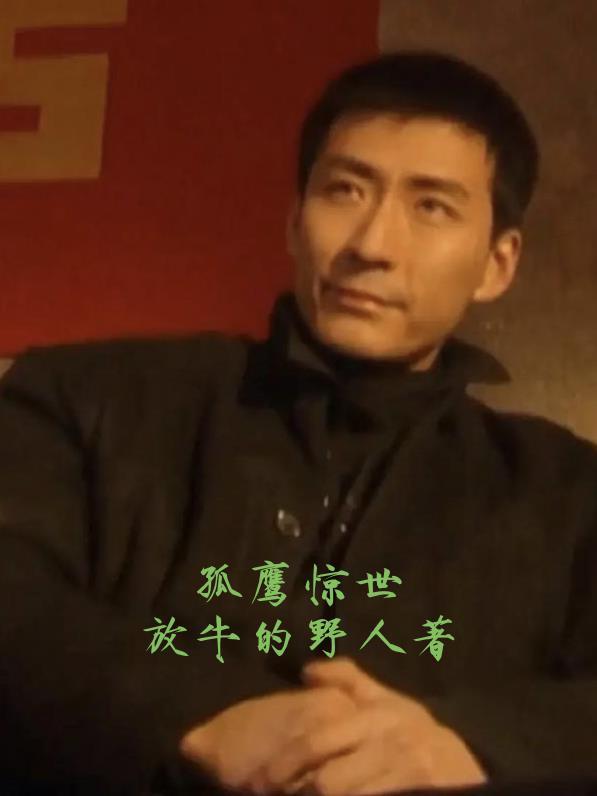孤鹰免费阅读