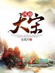 风雨大宋无弹窗