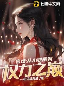 官场从小职员到权力之巅 第87章