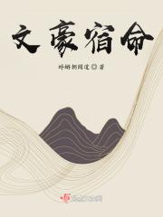 文豪 aqwo