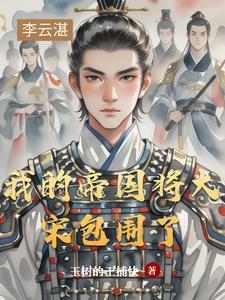 我的大宋新帝国123