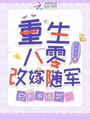重生八零改嫁军人田宁