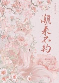 潮来潮往小程序