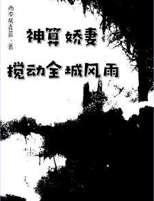 神算子免费阅读