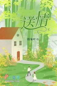 送情郎歌词完整版