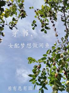 穿书女配只想咸鱼(穿书)