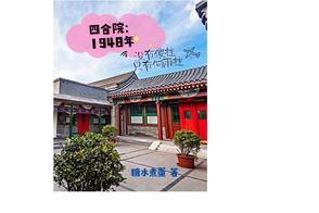 四合院傻柱的别样
