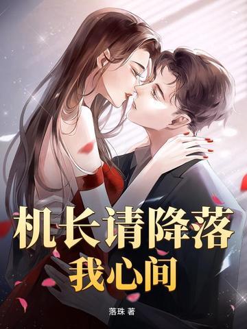 机长请降落