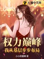 权力巅峰起点中文网