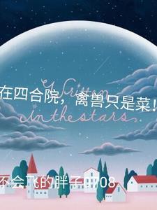 我在情满四合院
