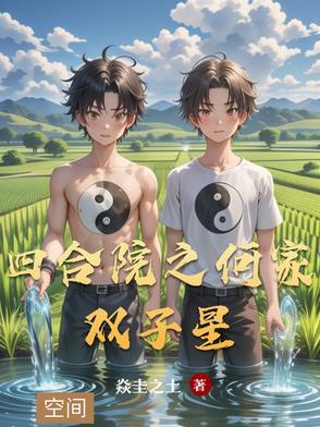 四合院何雨柱