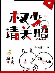 权少请关照txt