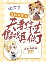 我的偃偶全是女邪祟免费观看