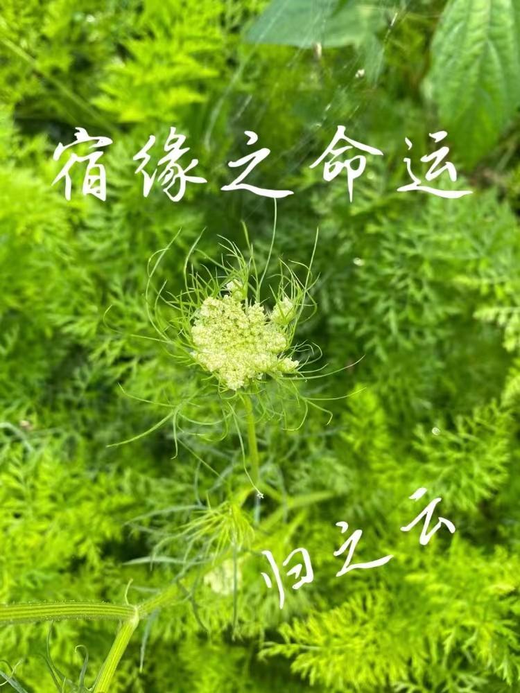 我退圈吃上国家饭了免费阅读