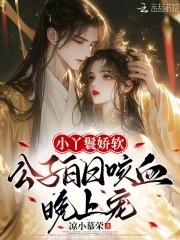 特工赘婿皇上求我娶公主