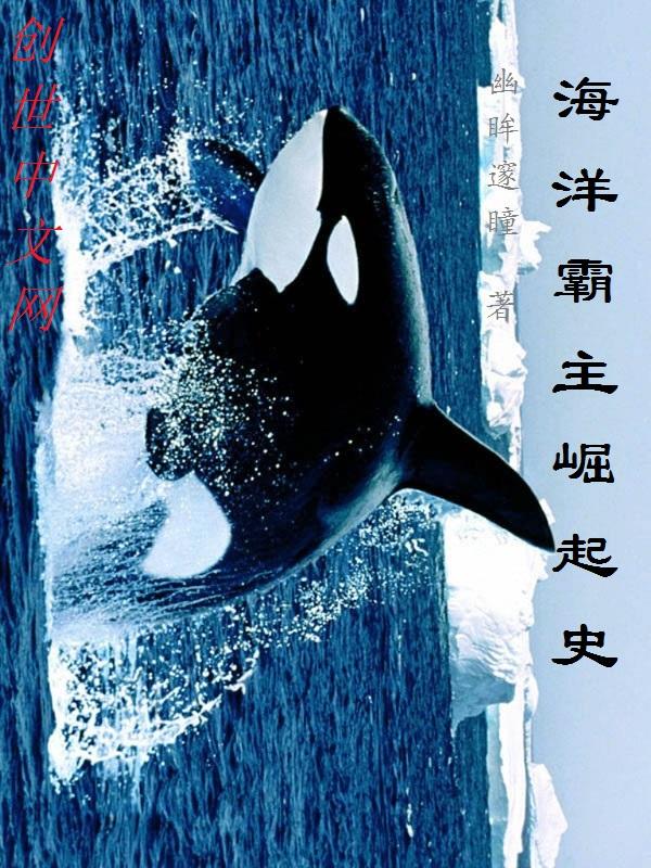 蒸汽火车计划