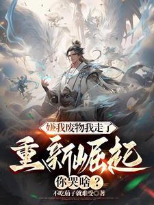 顶流从离婚开始免费阅读