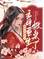 柔弱贵妃[清穿+红楼