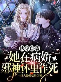 凡人飞仙传