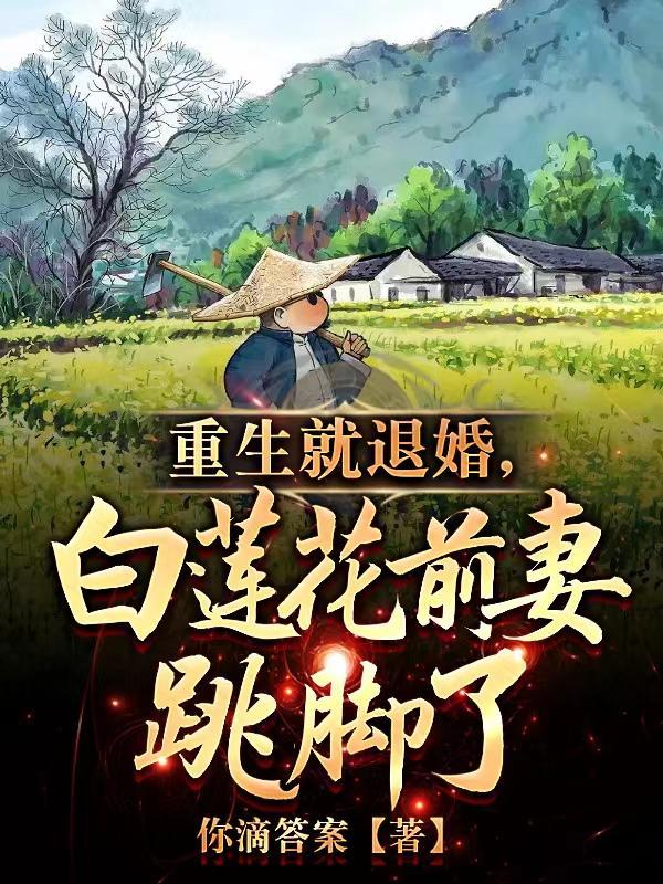 我是乡镇公务员张华结局