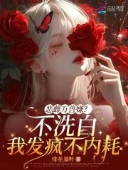 精灵帕底亚退役冠军的再就业 逻辑错误的逻辑猫
